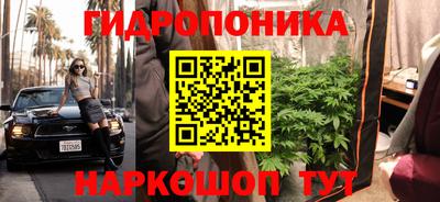 стаф Малгобек