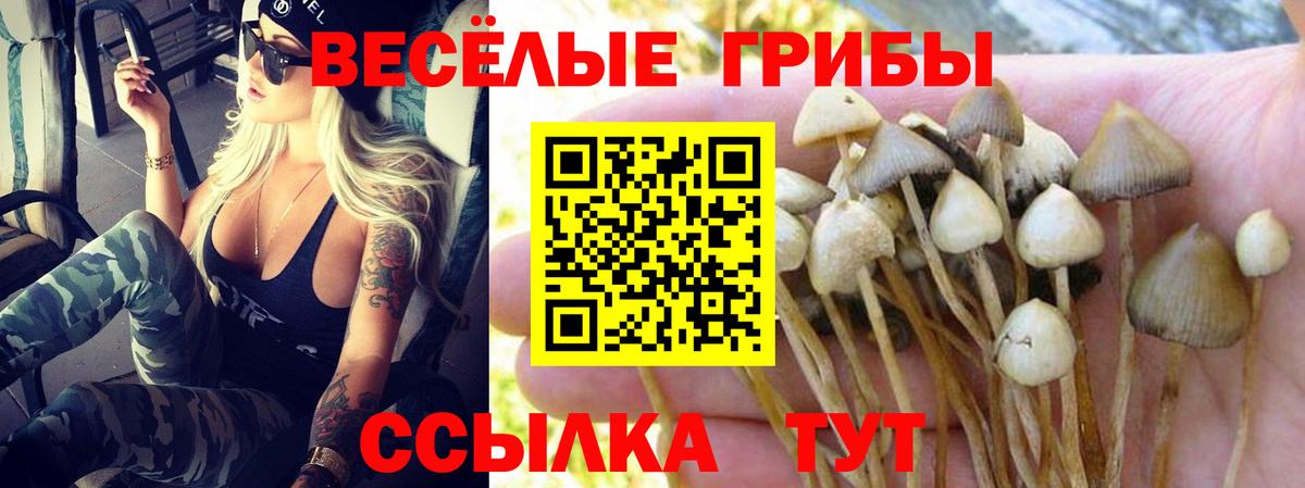 Чебоксары  Галлюциногенные грибы MAGIC MUSHROOMS  Вход с VPN 